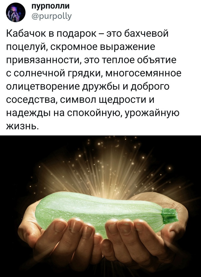 Весёлый полтишок 05.08.24