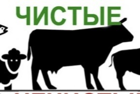 Новый товар России для мирового рынка, способный принести миллиарды