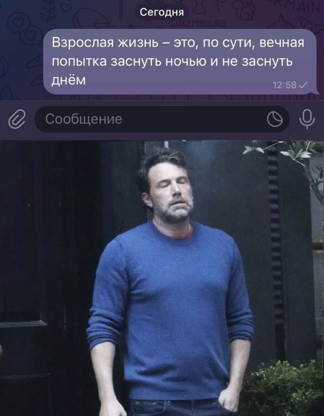 Так себе картинки 14.11.24