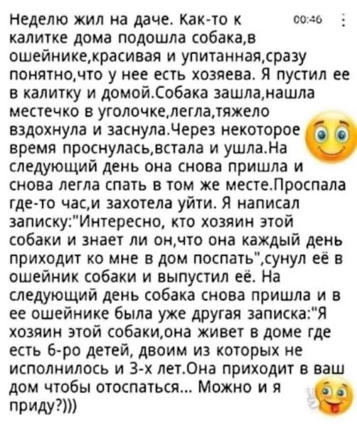 Весёлые картинки 2