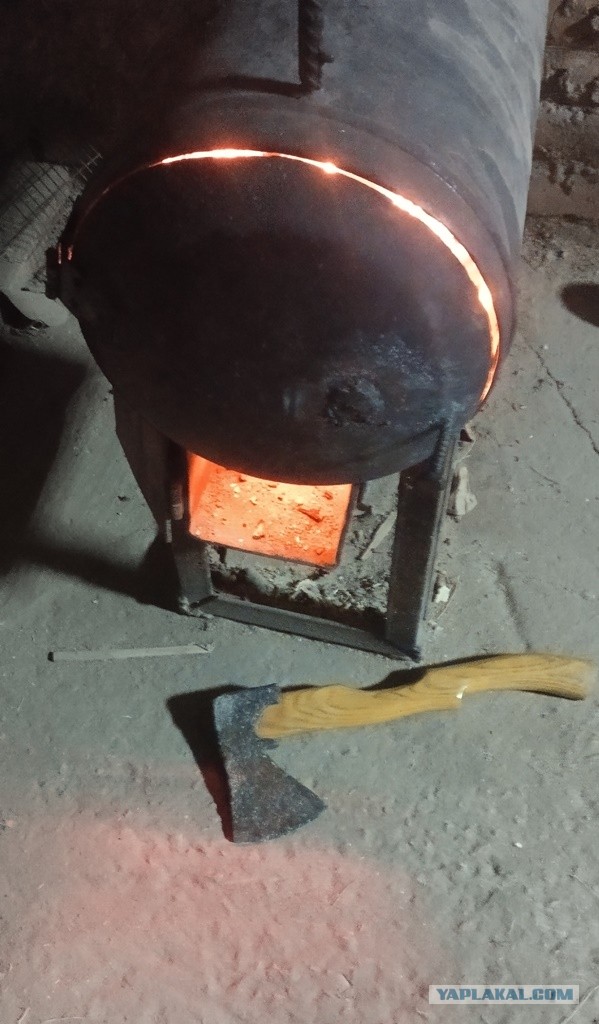Быкопятница