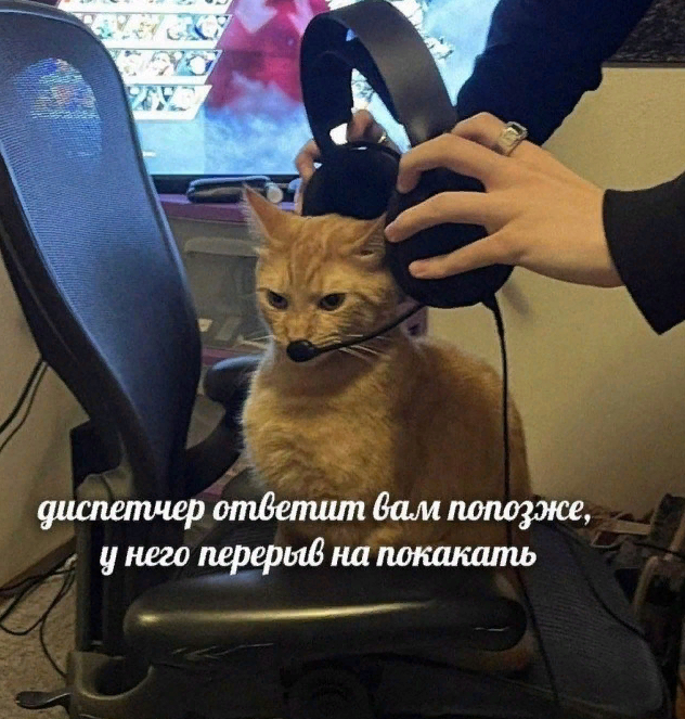 ТРРРидцать тРРРи от 22 мая