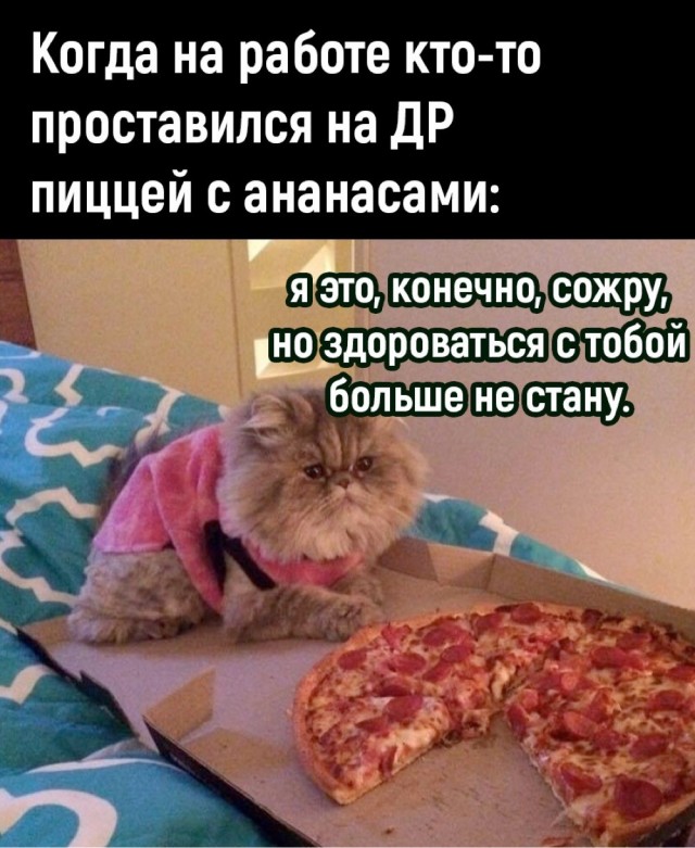 К котовторнику: подборка картинок-баянов с котиками и про котиков. Выпуск 11