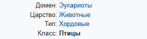 В мире животных