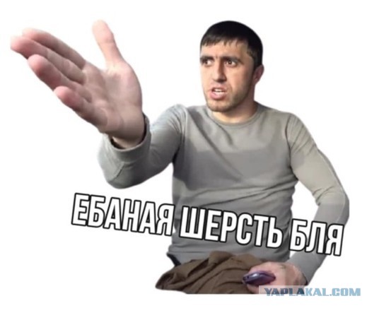 Молодой пассажир решил кинуть на деньги
