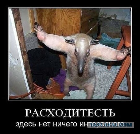 Племянник Кадырова устроил ДТП в Грозном, два человека погибли — но он избежал наказания.