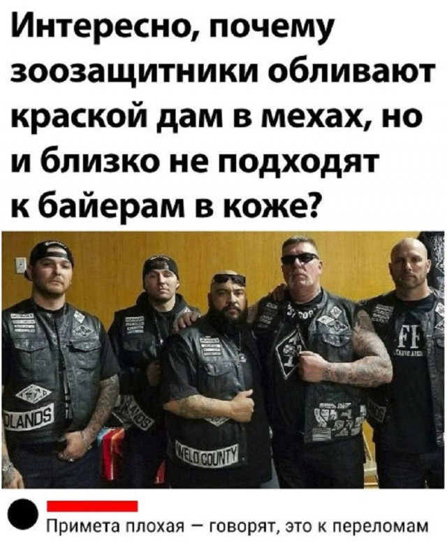 Так себе картинки 10.11.25