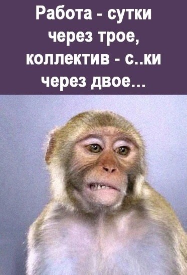 Четверговые картинки