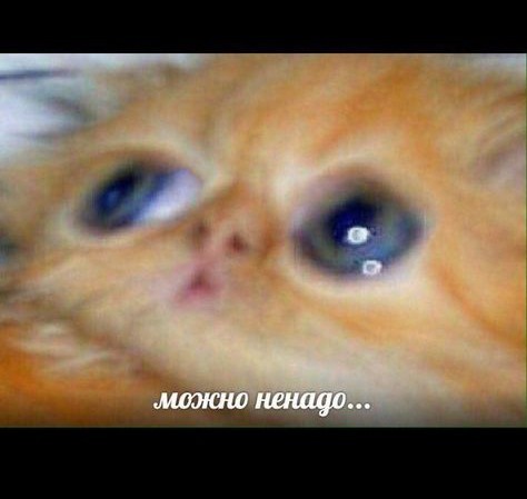 Четверговые картинки