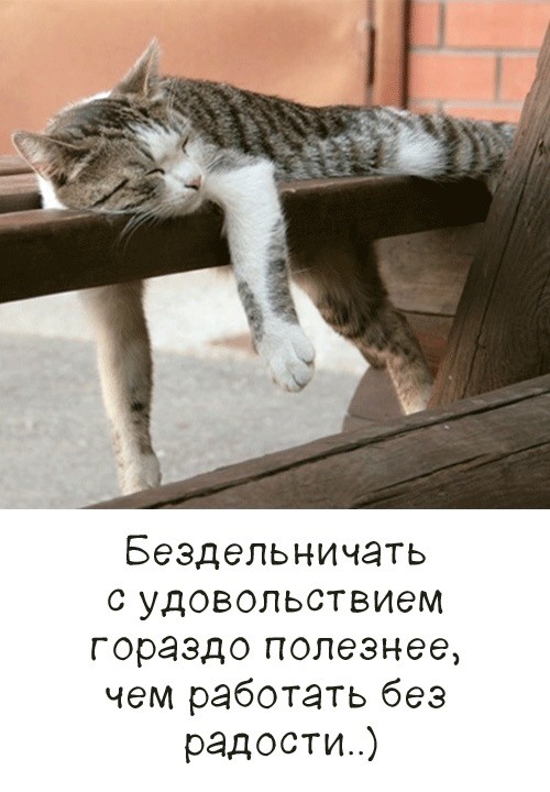 Воскресные картинки