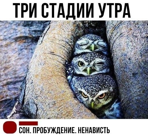 Картинки для деградации 207 (разной степени свежести)