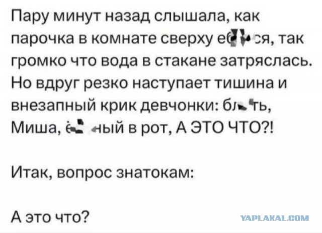 Картинки новые и старые, баяны и аккордеоны