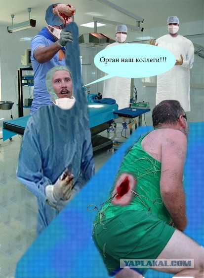 Мой друг нашел картошку!