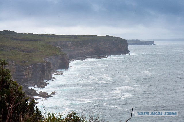 Австралия: Сидней и его окрестности