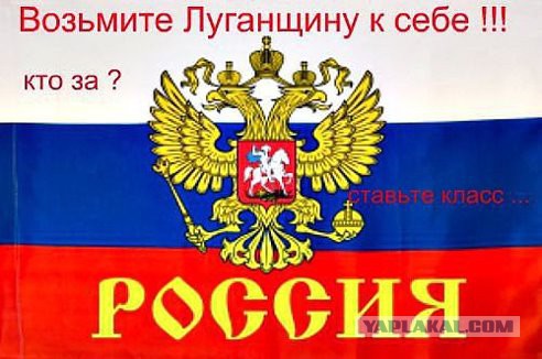 Беркут отказался выполнять приказы хунты