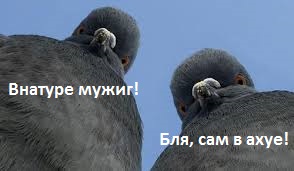 Война за парковку во дворе