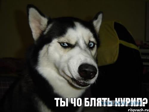 Женщины...