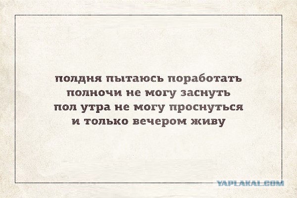 Подборка веселых картинок