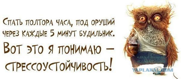 А вот и новые картинки!