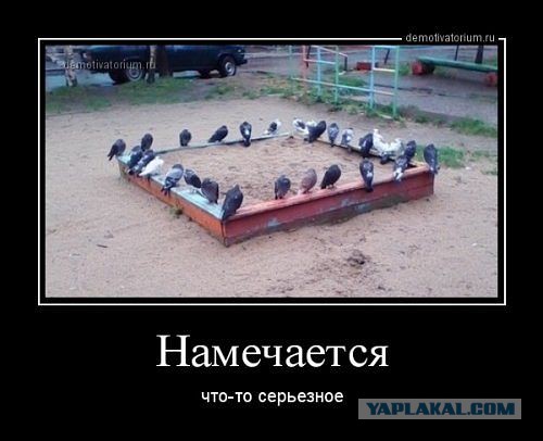 Давно демотиваторов не было