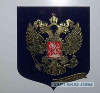 Жена прикупила магнитик на холодильник.
