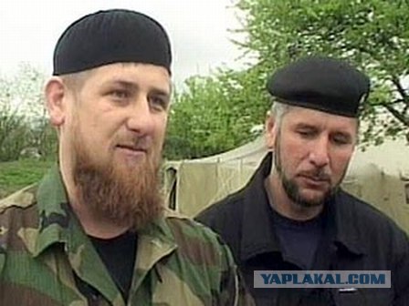 Чой-то меня засмущали мои знания...