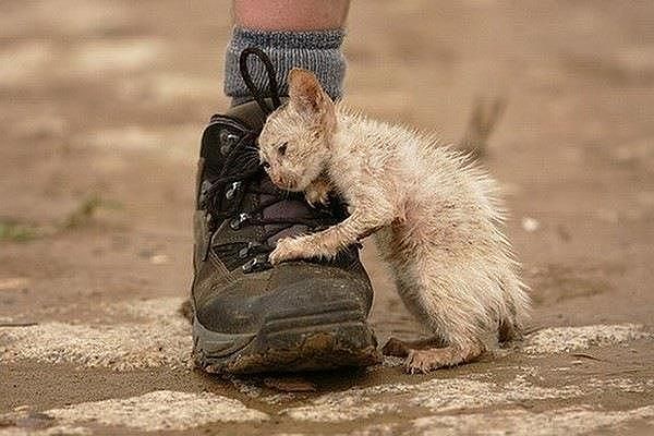 Сильные фотографии!