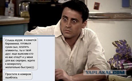 Забавные картинки из интернетов