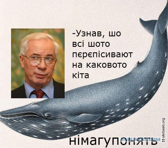 Предвыборный юмор по-украински (коте одобряет)