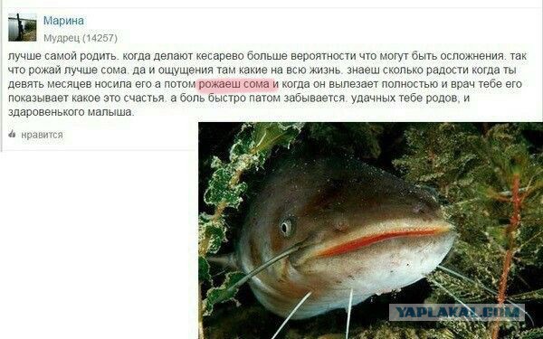 Картинки с буквами -11