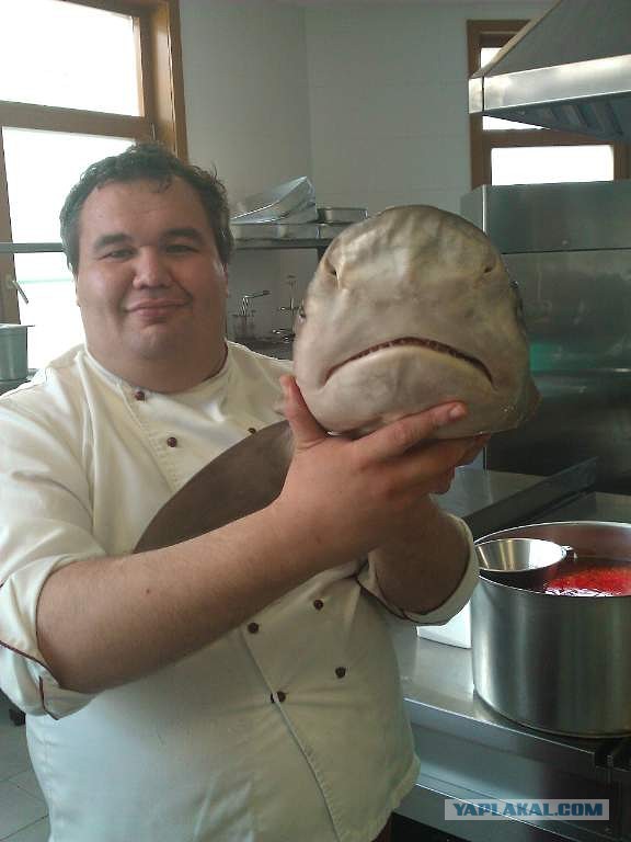 ЯПлакал в лицах