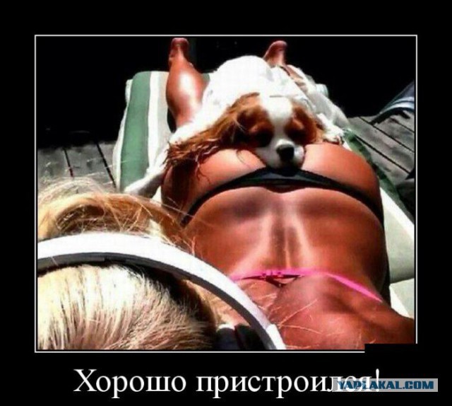 Вы хотите "демов"?