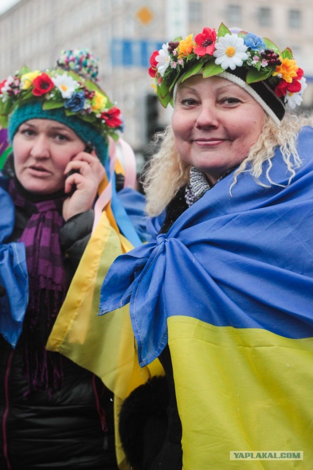 Митингующие в Киеве штурмуют здание Рады