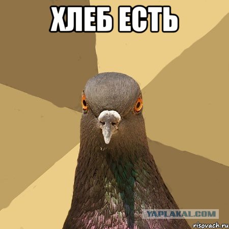 Шах и мат, хлебоверы