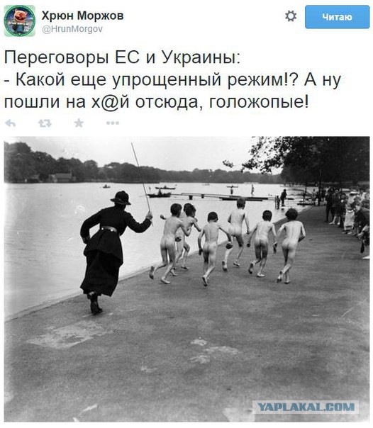 10 политических картинок часть 5