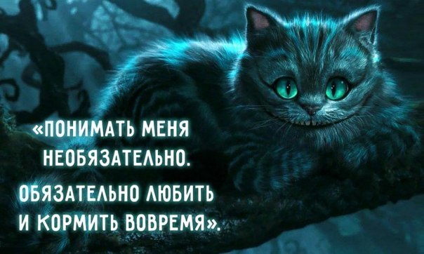 Гиф и картинок подборка!