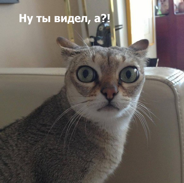 Испортить свою природную красоту за $120 тысяч