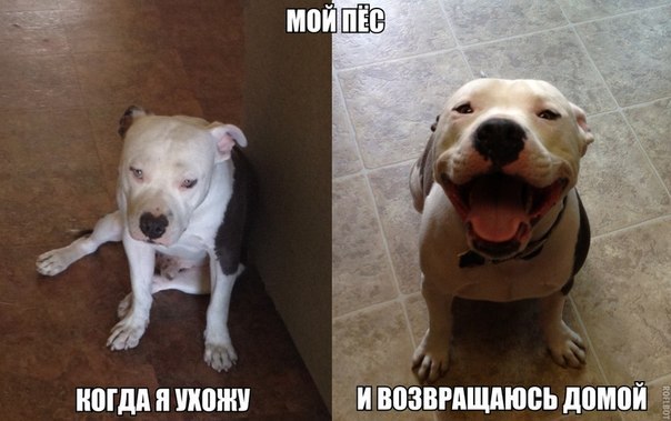 Картинки на пятницу