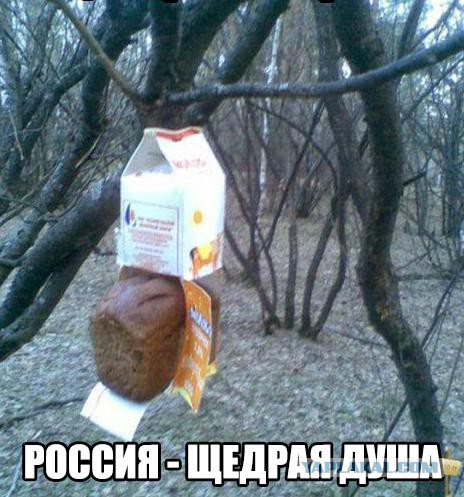 Картинок пост