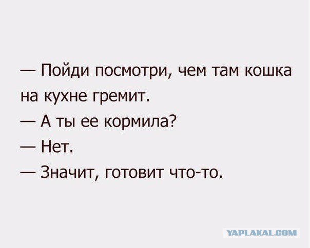 Когда животным делеть нехрен
