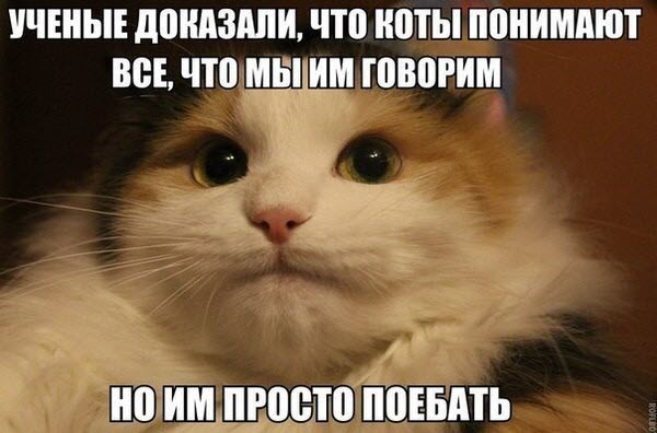 Абсурдный юмор ч.26
