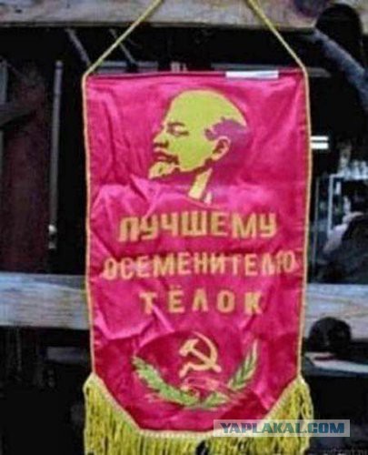 Уличная реклама, которая выносит мозг