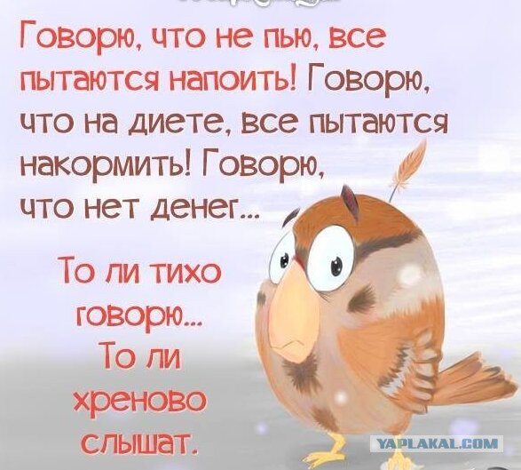 Картинки и приколы из сети