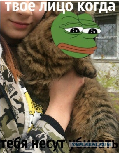 Живодерки из Хабаровска
