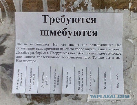 Юмор не для всех
