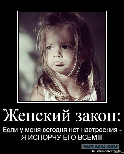 Установлена владелица автомобиля, не пропустившего скорую к умирающему пациенту