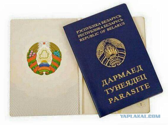 Что означает цвет твоего паспорта