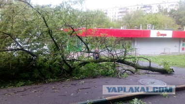 В Москве ураган!