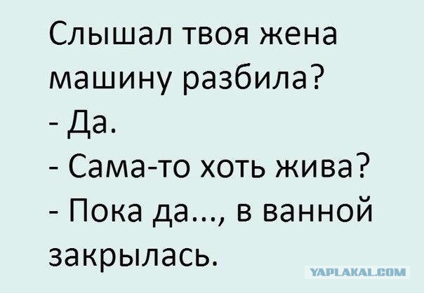 Очередная порция перлов из сети