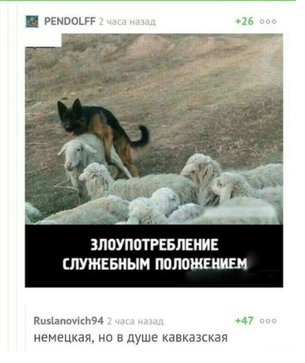 Забавных картинок не хотите ли?